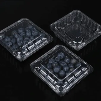 Pakiranje školjki od borovnice Pakiranje svježeg rezanog voća Kutija za pakiranje voća Pakiranje kontejnera od školjki od borovnice